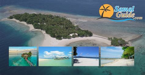 discovery samal contact number|Contact us .